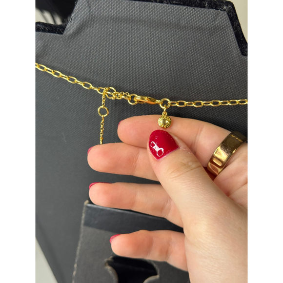 J. Crew Underwater Charm Necklace - Picture 4 of 4